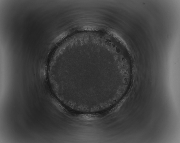 X0000085040305200703051357