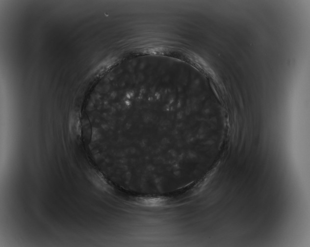X0000085040313200703051357