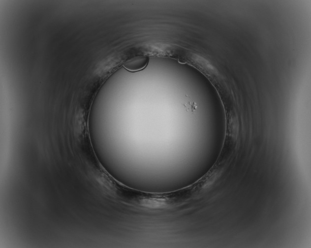 X0000085040318200703051357