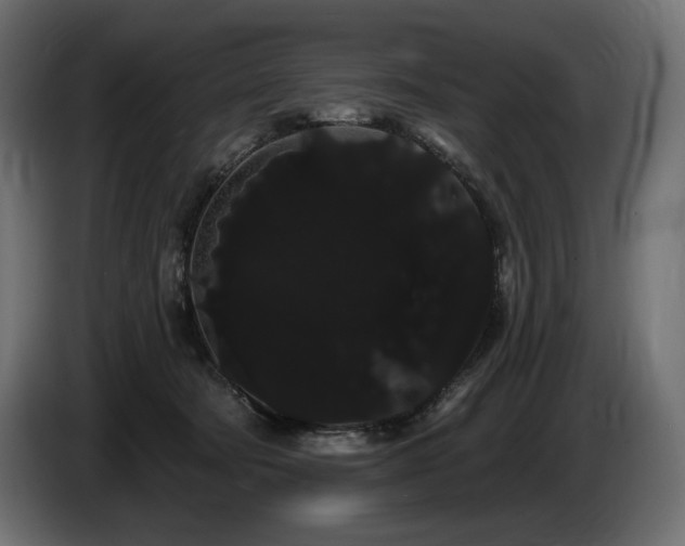 X0000085040322200703051357