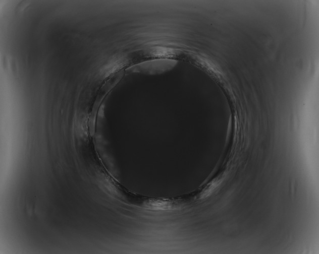 X0000085040325200703051357