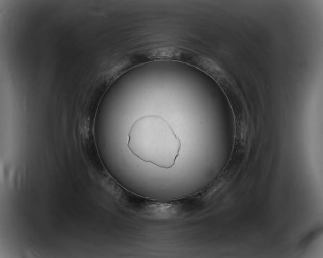 X0000085040326200703051357