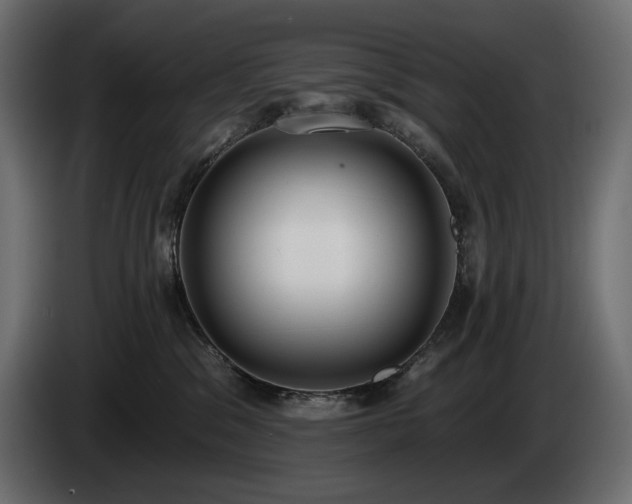X0000085040329200703051357