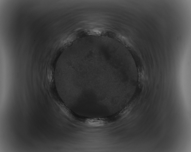 X0000085040331200703051356