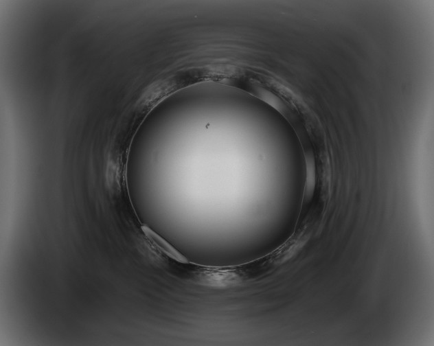 X0000085040333200703051356