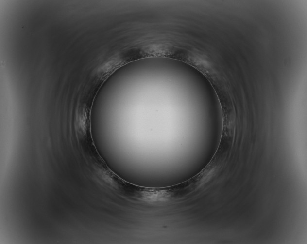 X0000085040334200703051356