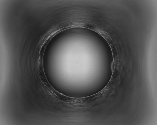 X0000085040338200703051356