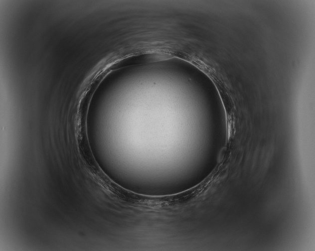 X0000085040339200703051356
