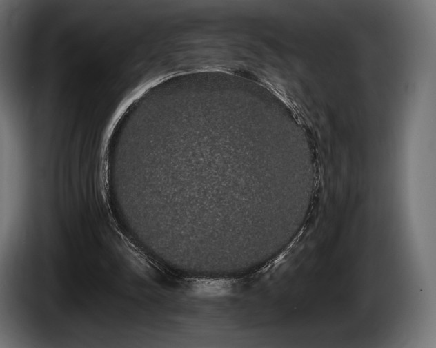 X0000085040342200703051356