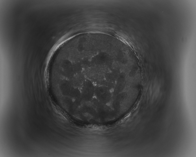 X0000085040343200703051356