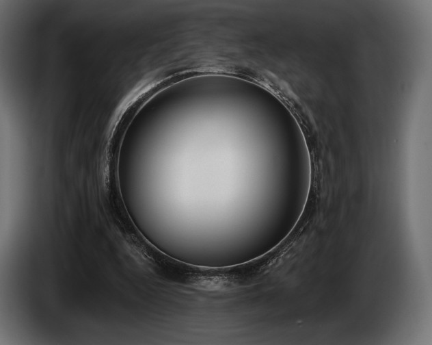 X0000085040344200703051356