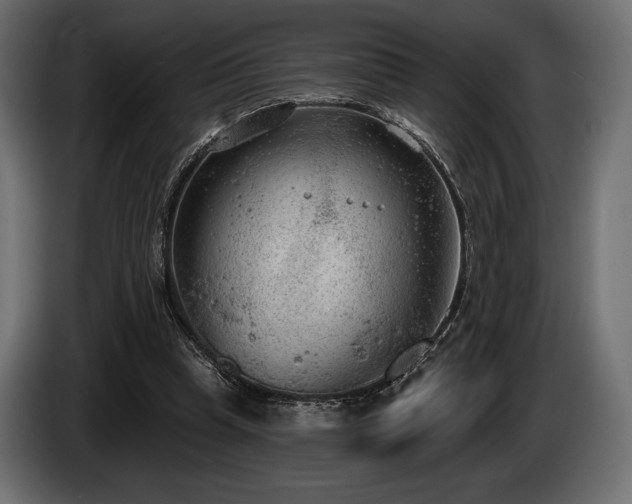 X0000085040345200703051356