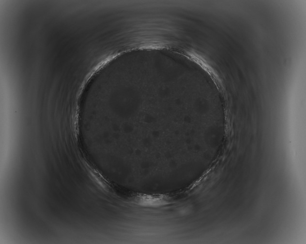 X0000085040346200703051356