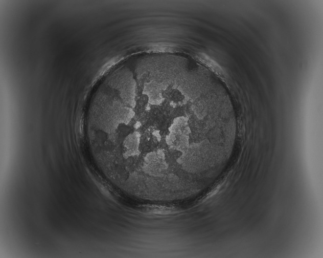 X0000085040347200703051356