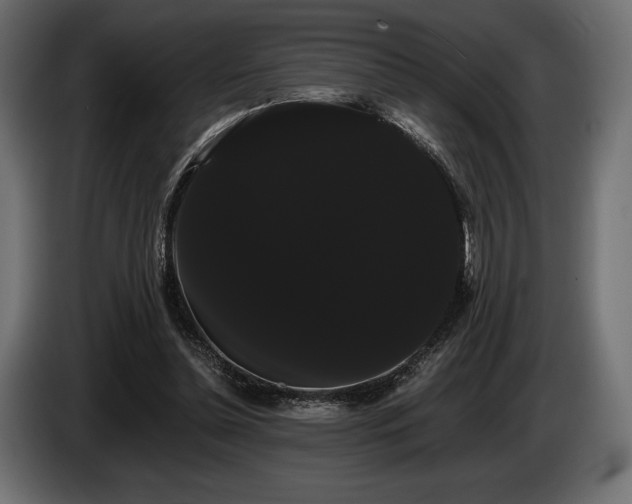 X0000085040348200703051356