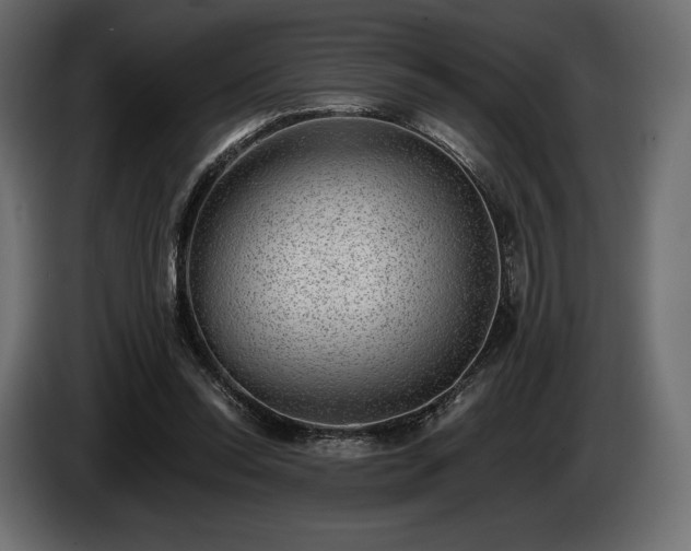 X0000085040350200703051356