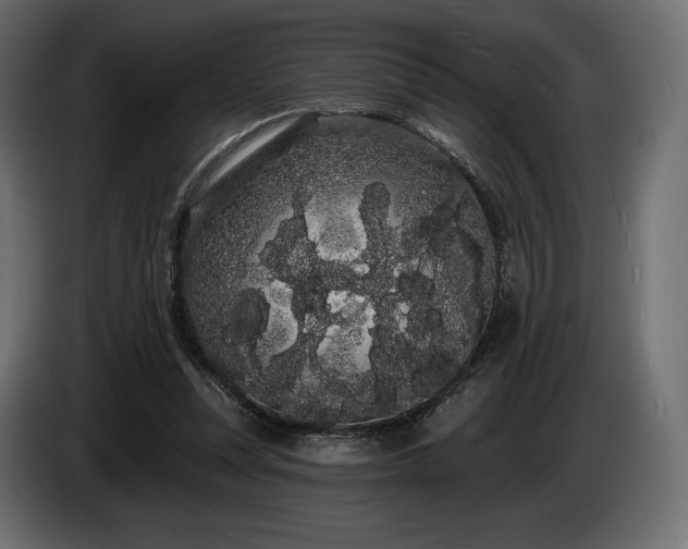 X0000085040351200703051356