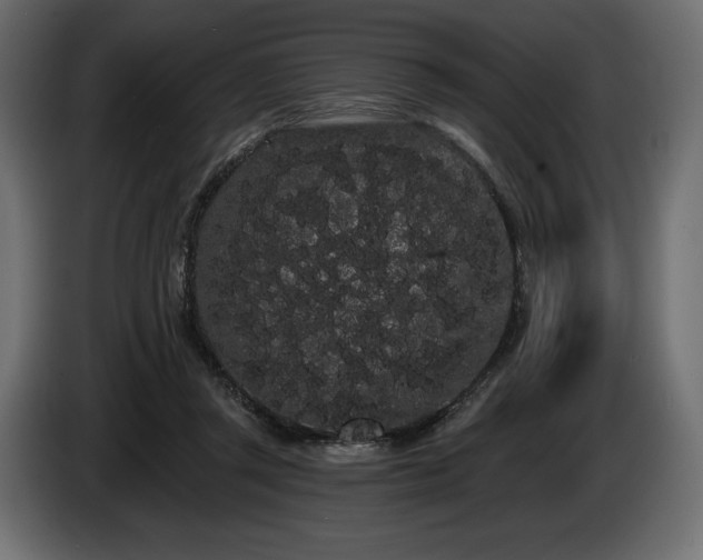 X0000085040357200703051356