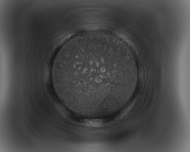 X0000085040359200703051356