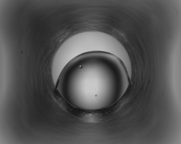 X0000085040364200703051356