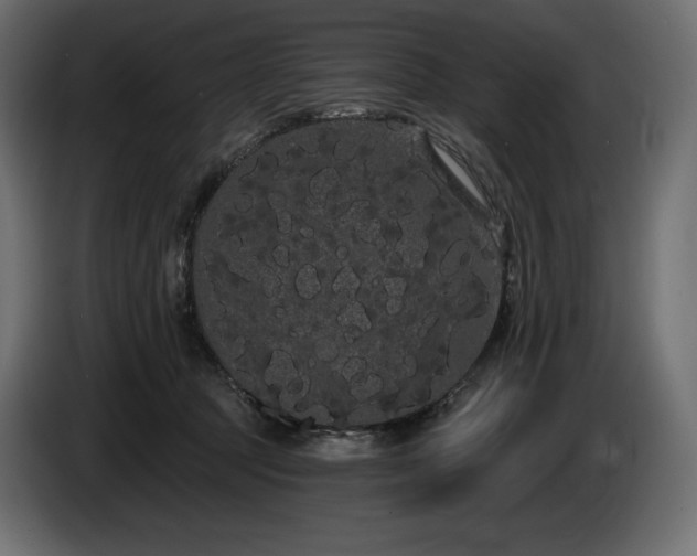 X0000085040369200703051356