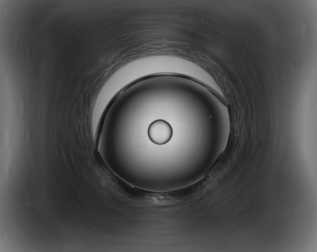 X0000085040372200703051356