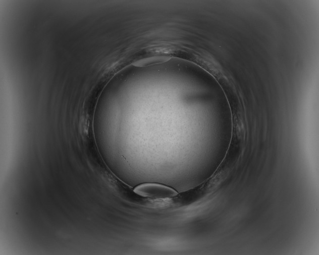X0000085040374200703051356