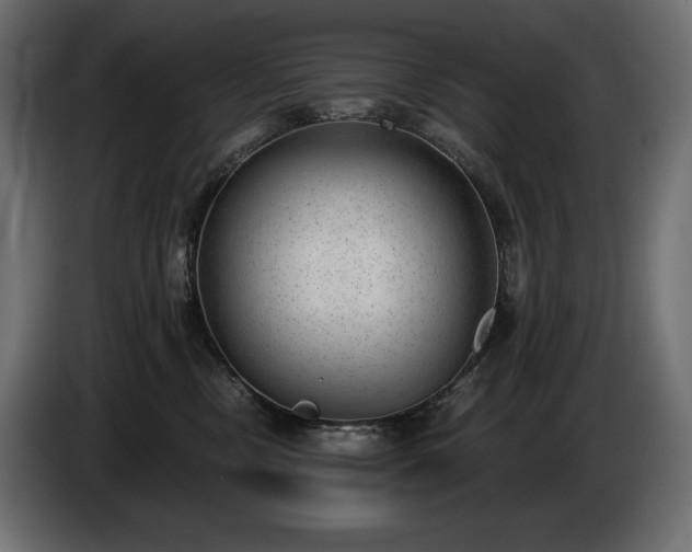 X0000085040378200703051356