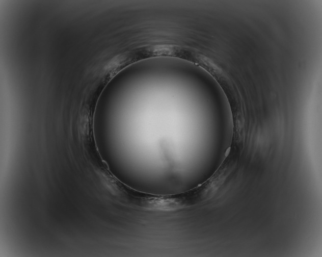 X0000085040379200703051356