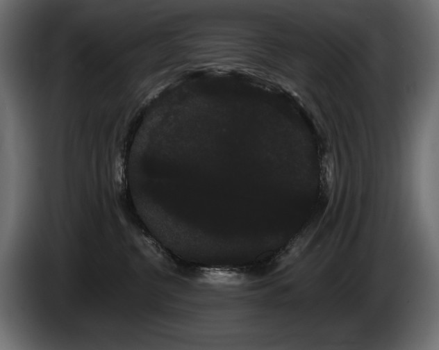 X0000085040380200703051356