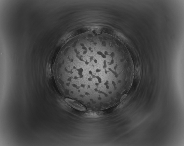 X0000085040381200703051356