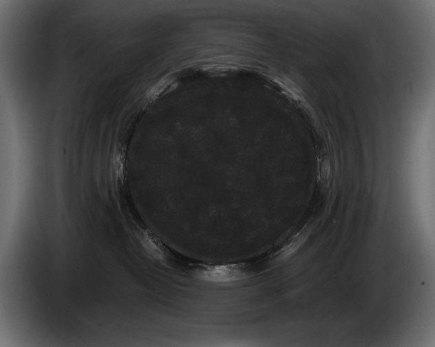 X0000085040382200703051356