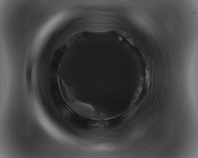 X0000085040383200703051356
