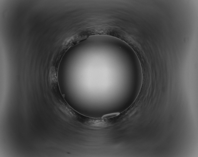 X0000085040384200703051356