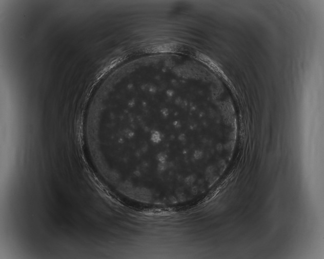 X0000085040386200703051356
