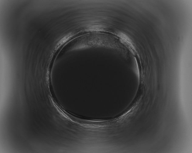 X0000085040389200703051356