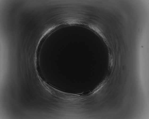 X0000085040391200703051356