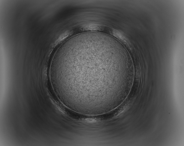 X0000085040394200703051356