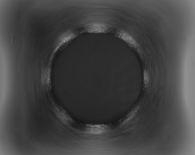 X0000085040396200703051356