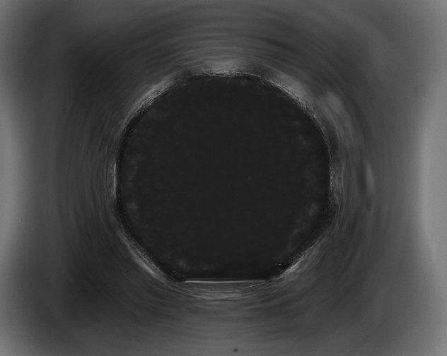 X0000085040397200703051356