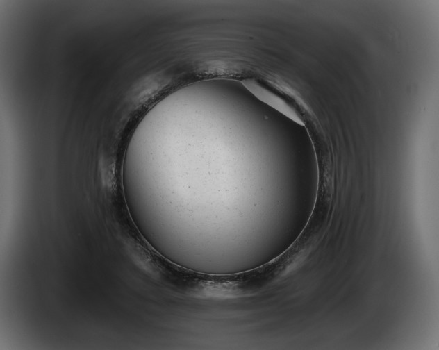 X0000085040403200703051355