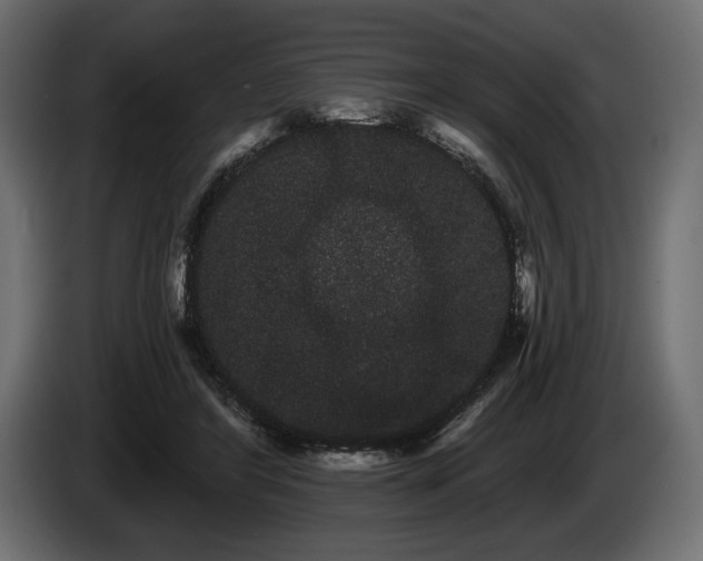 X0000085040404200703051355