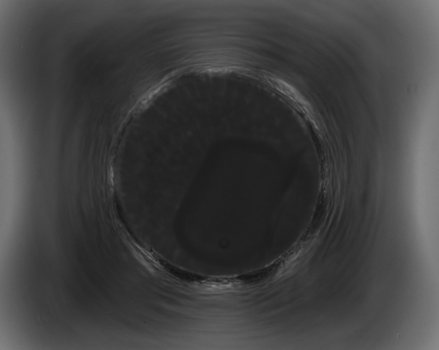 X0000085040405200703051355