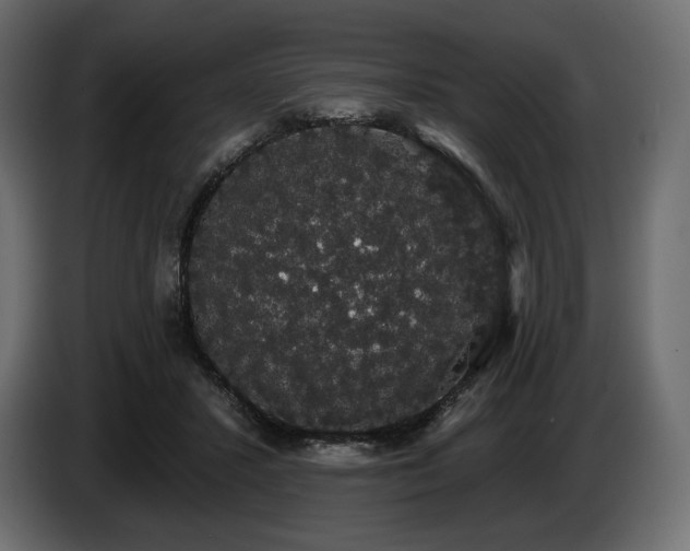 X0000085040407200703051355