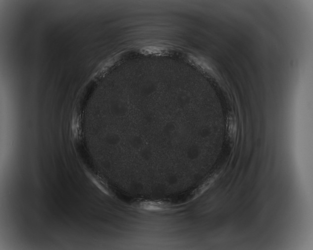 X0000085040408200703051355