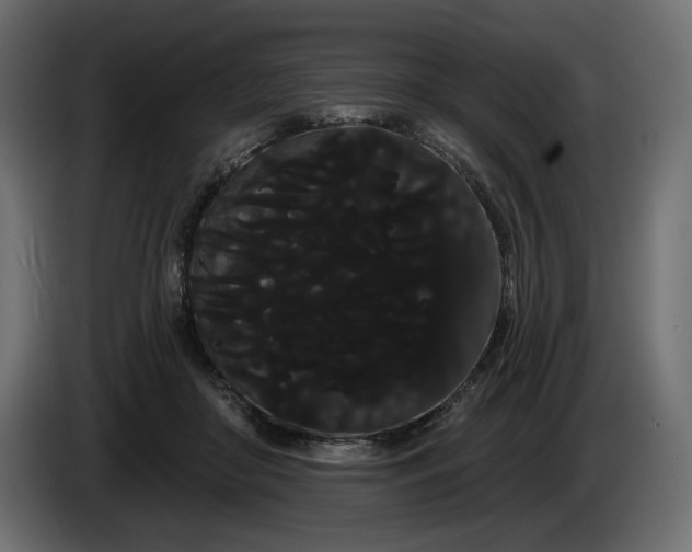 X0000085040410200703051355