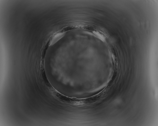 X0000085040411200703051355