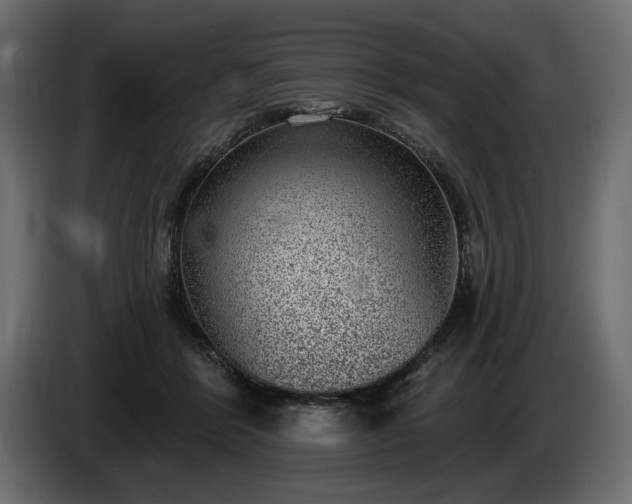 X0000085040412200703051355