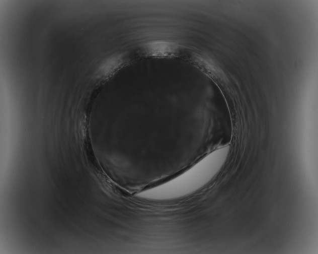 X0000085040413200703051355