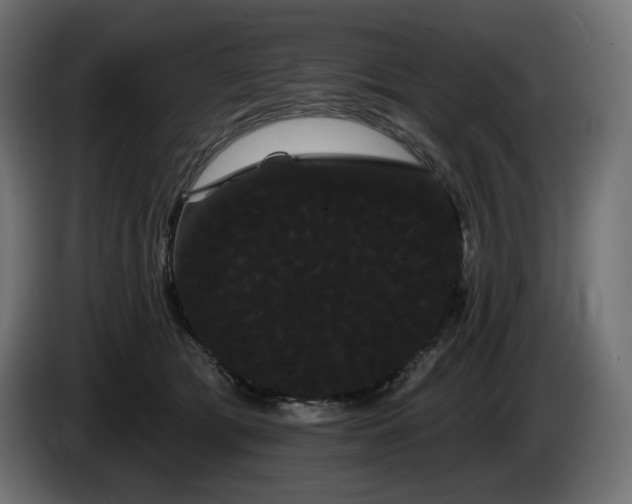 X0000085040417200703051355